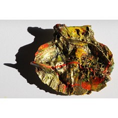 "Relief 177" Huile sur coquillage et objets (10x11x3) 2017