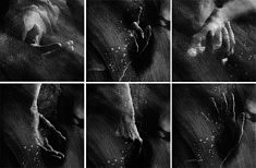 Empreintes. 6 oeuvres. Tirage pigmentaire sur baryté.