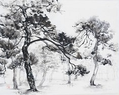 Pins - 2015 - Encre de Chine - 70 x 90 cm Pins - 2015 - Encre de Chine - 70 x 90 cm