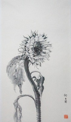 Tournesol - 2008 - encre de Chine - 38 x 70 cm Tournesol - 2008 - encre de Chine - 38 x 70 cm