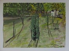Cèdre ,gouache sur papier, 76 / 56cm, 2018