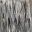 Rebecca Gruel : Exposition