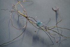 des miettes d’objets trouvés, des miettes de souvenirs,  de déchets organiques ou pas. Des matières, des formes, des des couleurs, des souvenirs, des éléments qui s’associent se réparent, collent se soudent, s’intriguent, disparaissent 