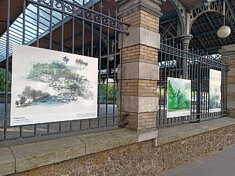 Vue de l'exposition Natures Partagées (parc Georges Brassens, XVe), ph LP