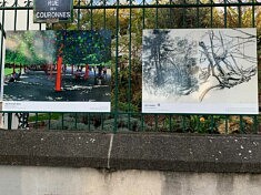(Français) Natures Partagées, parc de Belleville, photo Lumi