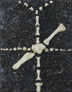 Extant III, sand, resin (replica bones) and acrylic paint on canvas, 22 x 20 x 6 cm