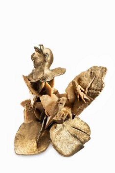 Wiga Mikulski, Coq de Bruyère, bronze cire perdue, rose des sables 18 x 15 x 115 cm, pièce unique