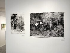 Vue de l'exposition, dessins de Denis Viougeas (photo LP)