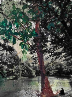 Angela Bonavita, Arbre solitaire et contemplation dans le parc, 2021, superposition de peinture sur photo, 50 x 40 cm