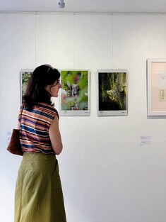 Œuvres de Thomas Paris (ph Myriam Hammoudi)