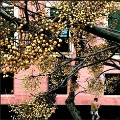 Annie Barel, Cadiz rose, tirage photo 40 x 40 cm