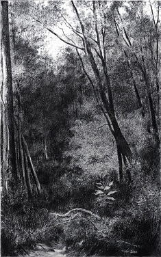 Denis Viougeas, Dordogne, 73 x 116 cm
