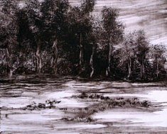 Michelle Boucard, Inondation, monotype