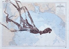 Sans titre, gyotaku, sur carte marine, 60 x 80