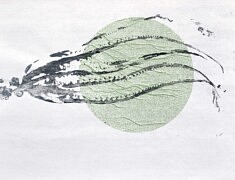 Sans titre, gyotaku, sérigraphie, 50 x 65 cm