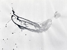 Sans titre, gyotaku, 60 x 80 cm