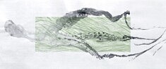 Sans titre, gyotaku, sérigraphie, 30 x70 cm