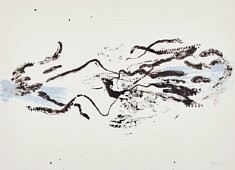 Sans titre, gyotaku, transfert, 50 x 70 cm