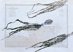 Sans titre, gyotaku, sur carte marine, 60 x 80 cm