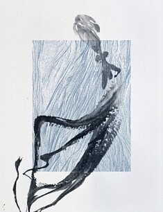 Sans titre, gyotaku, sérigraphie 65 x 50 cm