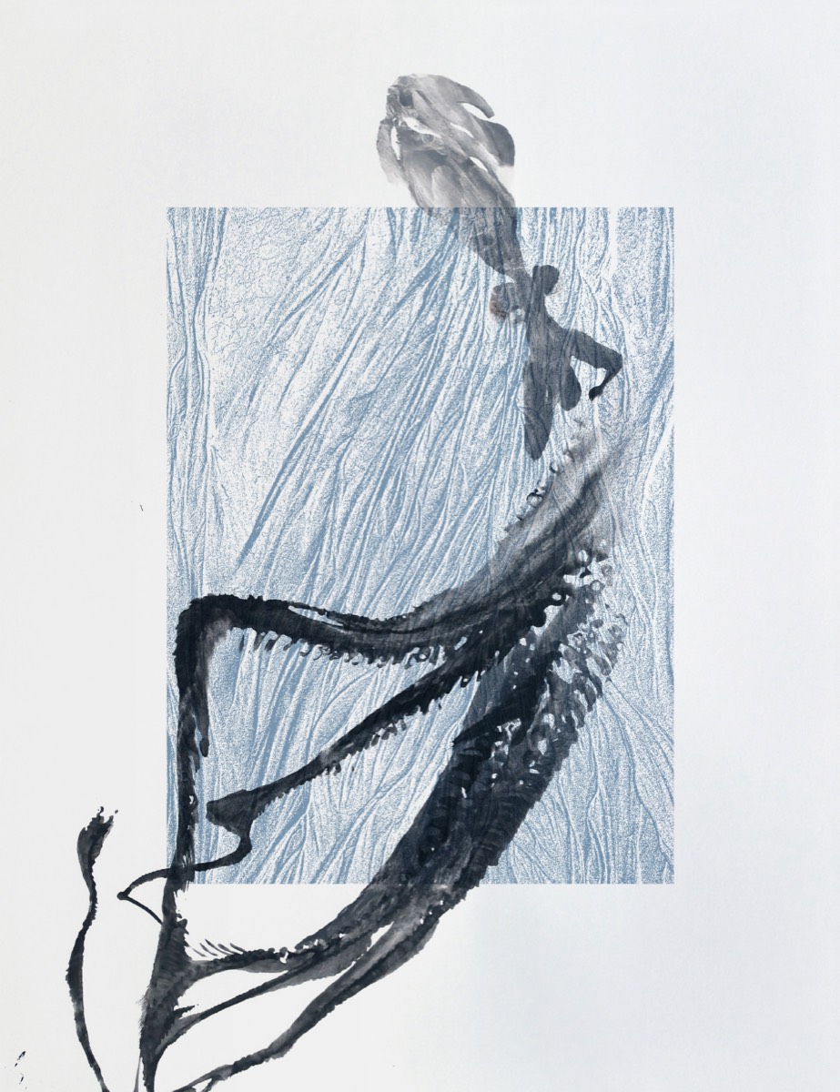 Bastien Morin, gyotaku, sérigraphie