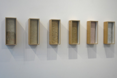 Cécile Bourdais, Essences variées, 2015, 6 boîtes en bois et verre papier