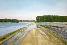 En immersion, 80x120 cm - 2024