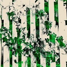Série Abstraction végetale, Merging ivy, technique mixte sur toile, 50x50x4cm, 2023