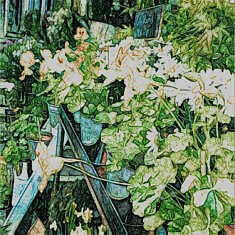 Série Abstraction végétale,Sans titre, technique mixte sur toile, 50x50cm, 2022