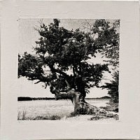 Artiste 2.0 : Exposition