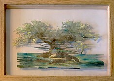 arbre millénaire, encadré 28cmx32cm