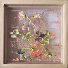 fleur sauvage,encadrée 18cmx18cm