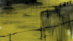 paysage limite 