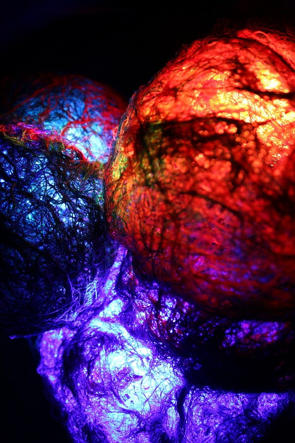 Marie Raybaud, Artiste Plasticienne