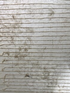 Broderie sur papier, gaze huilée, Laos