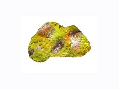 "Relief 910c" -  Huile sur feuilles (15x25x4) 2009