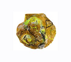 "Relief 1811a" - Huile sur objets (11x12) 2018