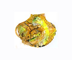 "Relief 1812a" - Huile sur objets (10x12) 2018