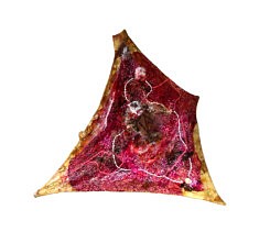 "Relief 1803b" Huile sur pétales de roses (47x48x12) 2018