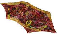 "Relief 1806" Huile sur pétales de roses (50x40) 2018