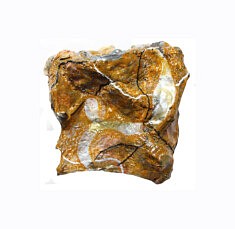 "Relief 2101a " Huile sur coquilles d'huître et pétales de rose (21x22x8) 2021