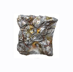 "Relief 2102b" Huile sur coquilles d'huître et pétales de rose (22x22x6) 2021