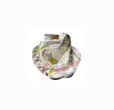 "Relief 2402b " Huile sur couvercles, capsules et coquille St Jacques (10x11x3) 2024