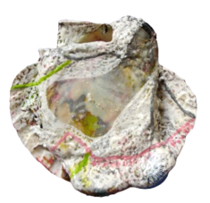 "Relief 2402b " Huile sur couvercles, capsules et coquille St Jacques (10x11x3) 2024 "Relief 2402b " Huile sur couvercles, capsules et coquille St Jacques (10x11x3) 2024