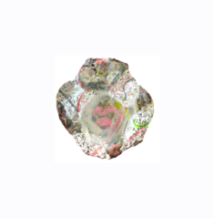 "Relief 2402c" Huile sur couvercles, capsules et coquille St Jacques (11x11x3) 2024