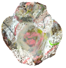 "Relief 2402c" Huile sur couvercles, capsules et coquille St Jacques (11x11x3) 2024 "Relief 2402c" Huile sur couvercles, capsules et coquille St Jacques (11x11x3) 2024