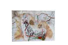 "Relief 2510c" Huile sur papier éco-imprimé marouflé sur contreplaqué,copeaux de bois, filets (21x30) 2025 "Relief 2510c" Huile sur papier éco-imprimé marouflé sur contreplaqué,copeaux de bois, filets (21x30) 2025