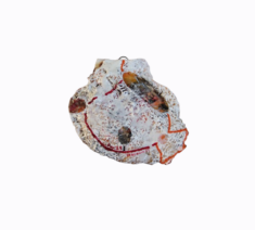 "Relief 2502c " Huile sur stylos et coquille St Jacques (11x12x4) 2025