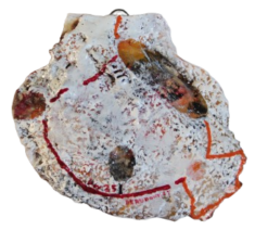 "Relief 2502c " Huile sur stylo et coquille St Jacques (11x12x4) 2025 "Relief 2502c " Huile sur stylo et coquille St Jacques (11x12x4) 2025