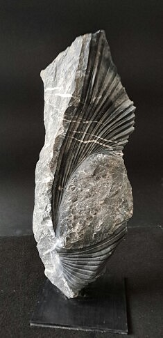 « Éclipse 2 » – Marbre de Cihigue (Pyrénées) – 44 x 20 x 12 cm